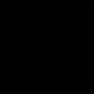 Meet your Posher, Kerry